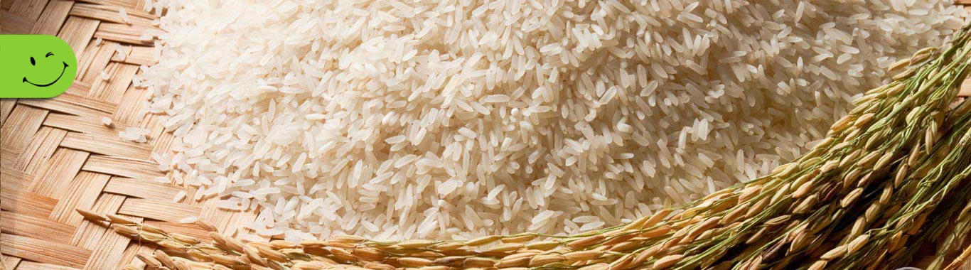 بنر برنج شمال (سوادکوه)