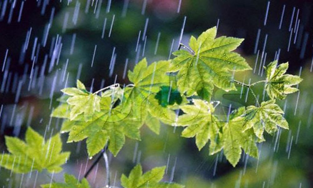 ثبت میانگین بارش در ۷ استان کمتر از ۱۰ میلی متر
