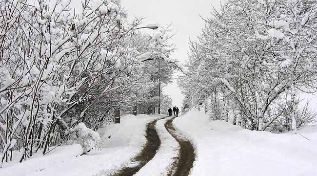 بارش سنگین برف در همه محورهای استان سمنان/بستن زنجیرچرخ الزامی شد