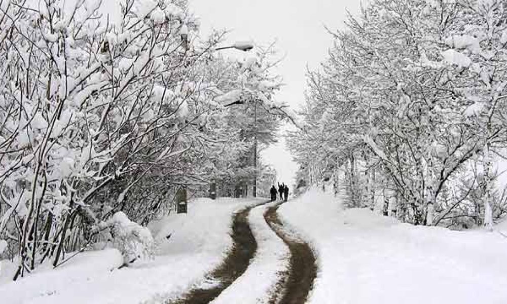 بارش سنگین برف در همه محورهای استان سمنان/بستن زنجیرچرخ الزامی شد
