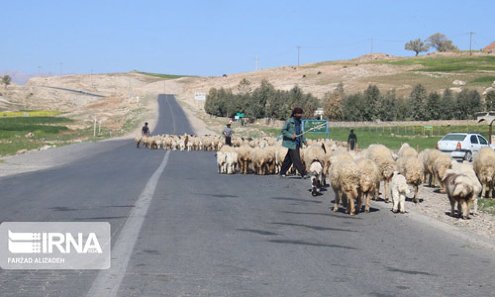 کوچ زودهنگام عشایر به ییلاق های استان سمنان