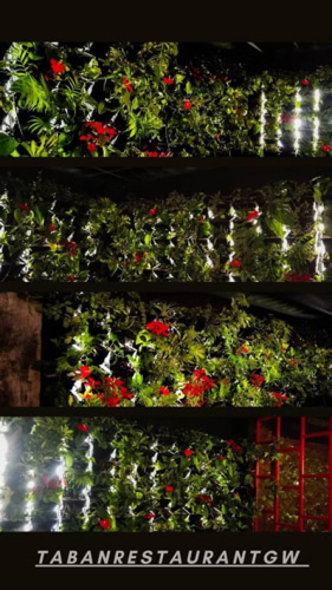 اجرای دیوار سبز در سمنان با گیاهان گلدار