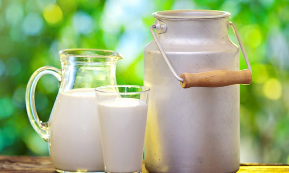 سرانه تولید شیر در سمنان دو برابر میانگین کشور است