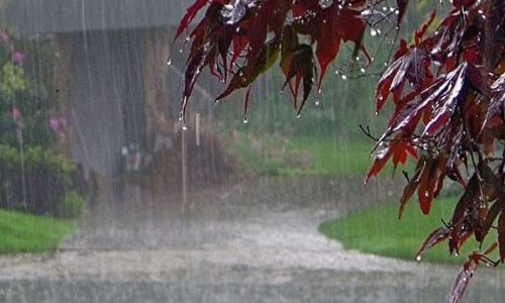 افزایش ۹۴ درصدی میزان بارندگی‌ها در استان سمنان