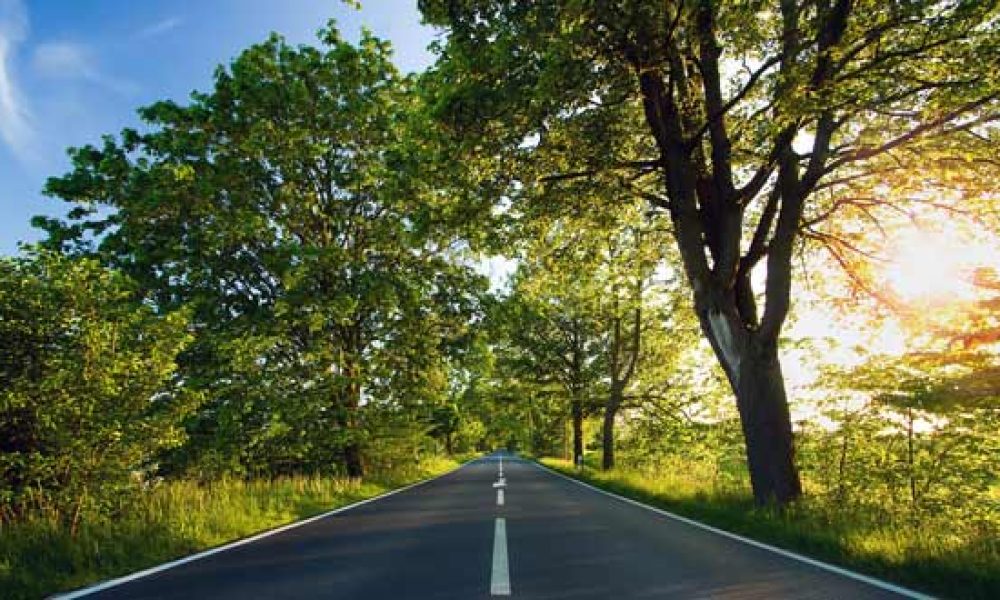 سوانح رانندگی نوروز ۹۶ در استان سمنان ۲۵ درصد کاهش یافت