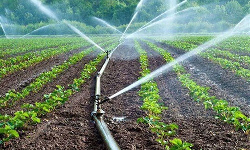 کاهش ۳۰ درصدی مصرف آب کشاورزی سمنان در چشم‌انداز ۱۰ ساله