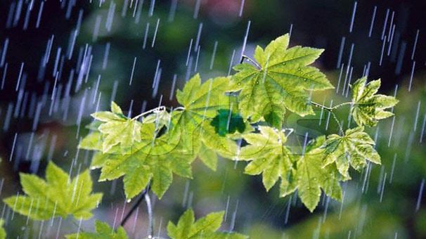 ثبت میانگین بارش در ۷ استان کمتر از ۱۰ میلی متر