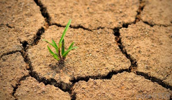 استان سمنان رتبه سوم خشک‌سالی را در کشور دارد