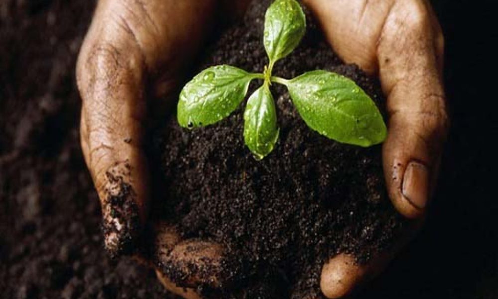 همایش روز جهانی خاک در استان سمنان برگزار می‌شود
