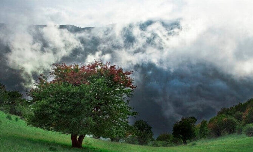 جنگل ابر سمنان -گزارش تصویری