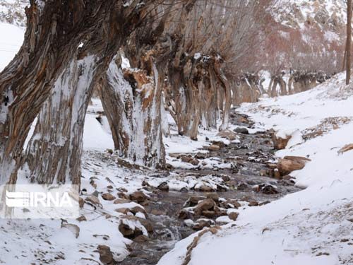 استان سمنان ۲ روز برف و بارانی در پیش دارد
