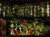 اجرای دیوار سبز در سمنان با گیاهان گلدار
