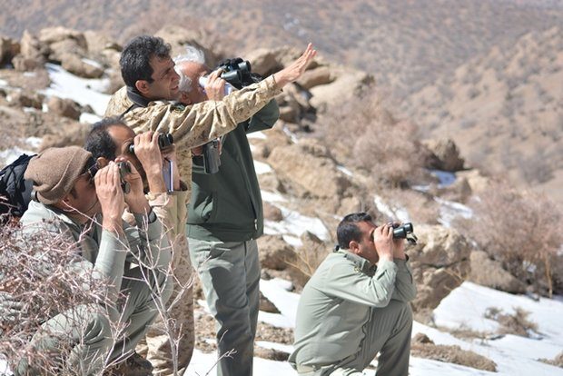 ۲۳۶ شکارچی در استان سمنان دستگیر شدند