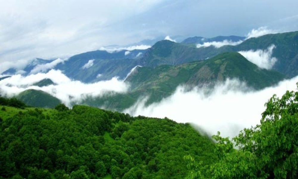 “جنگل ابر” از فهرست آثار طبیعی استان سمنان خارج نشده است