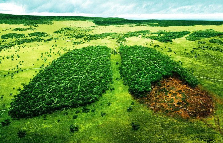 حفظ و احیای منابع‌طبیعی، نمودی از احترام به نسل‌های آتی کشور