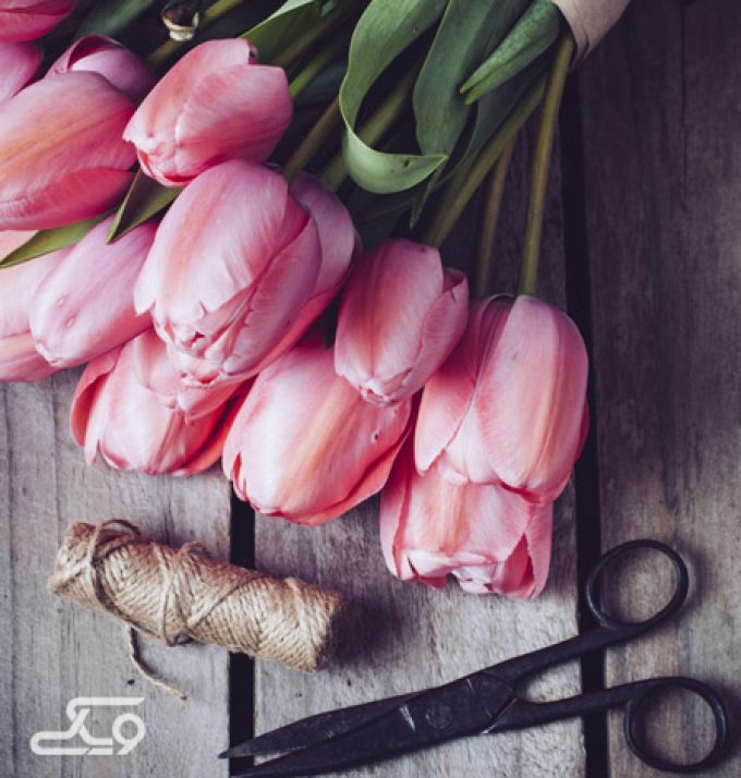 گلسرای آفتاب