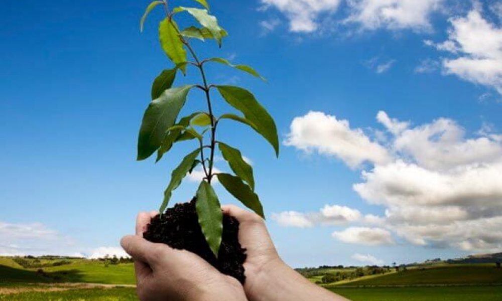 طرح‌های جلوگیری از تجاوز به عرصه‌های منابع طبیعی در استان سمنان اجرا می‌شود