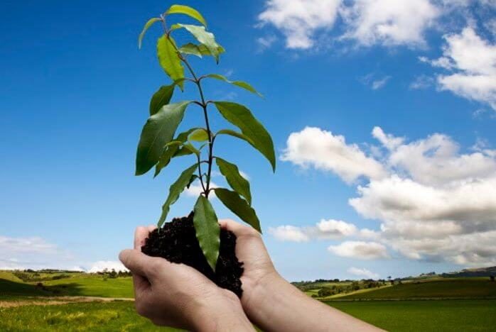 طرح‌های جلوگیری از تجاوز به عرصه‌های منابع طبیعی در استان سمنان اجرا می‌شود