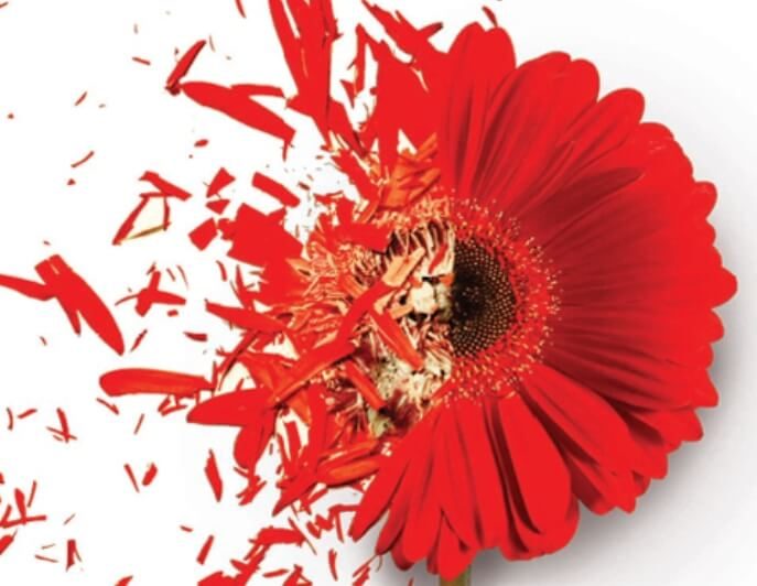 با پدیدۀ «هر ۹ ثانیه یک خشونت» چه کنیم؟