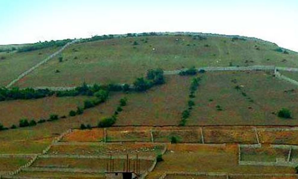 آغاز طرح کاداستر در اراضی استان سمنان