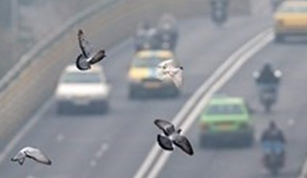 ریزگردها عمده ترین عامل آلودگی هوا در استان