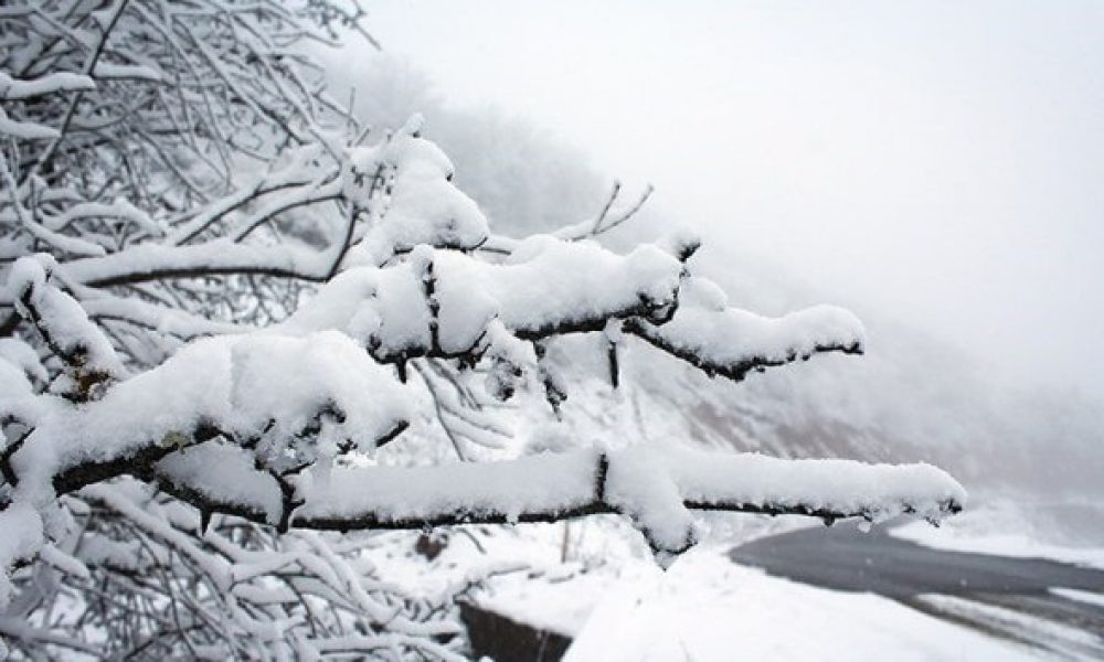 بارش برف زمستانی در مهدیشهر/گزارش تصویری