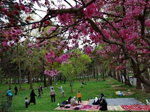 ممنوعیت تفرج در بوستان های سمنان در سیزده بدر