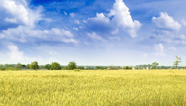 ۴۵۰۰ هکتار از اراضی سمنان زیرپوشش طرح جامع «حدنگاری» است