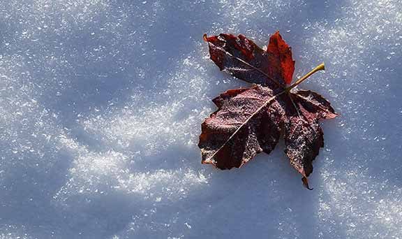 بارش اولین برف پاییزی ارتفاعات مهدیشهر را سپید پوش کرد