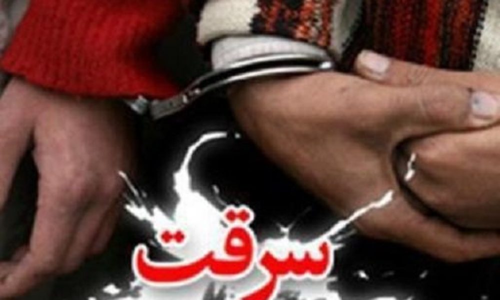 سارق شب‌های سمنان تبعه غیرمجاز از آب درآمد