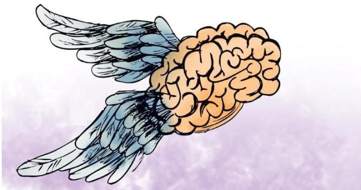 سرمنشأ هدایت نخبگان به خارج از کشور، چه کسانی هستند؟