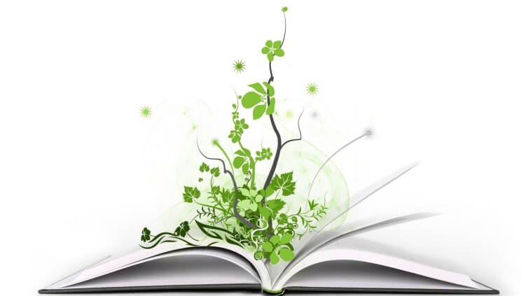 طرح کتابخوان در سمنان اجرایی می شود/ ترویج فرهنگ مطالعه در اولویت