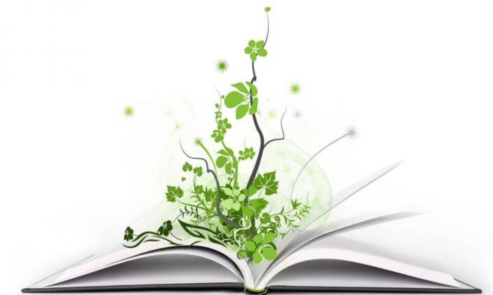 طرح کتابخوان در سمنان اجرایی می شود/ ترویج فرهنگ مطالعه در اولویت