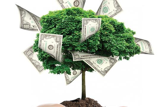 استان سمنان می‌تواند به‌قطب اقتصاد سبز در کشور تبدیل شود