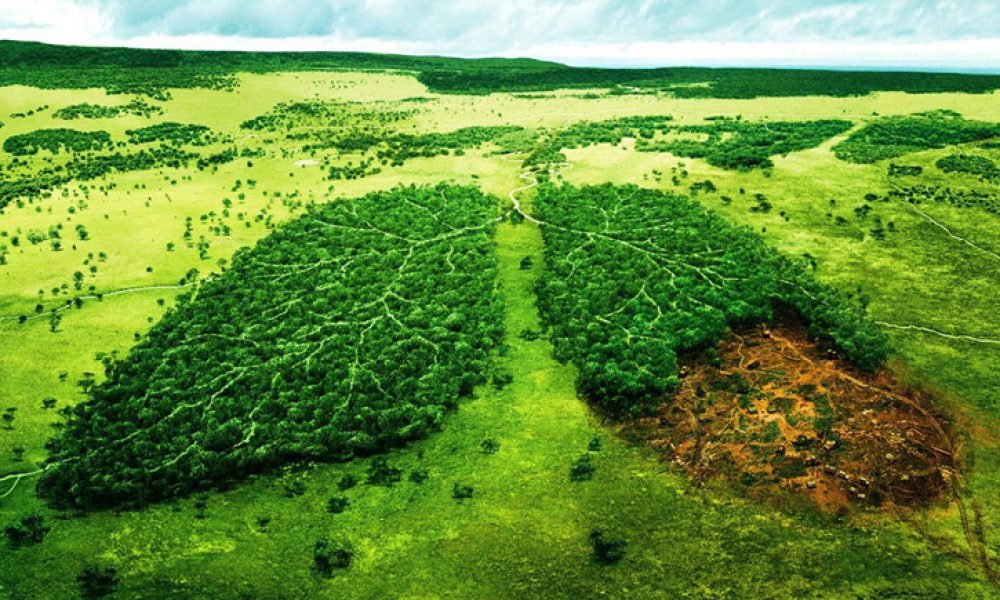 محیط زیست و تاثیر آلودگی هوا و زمین بر آن