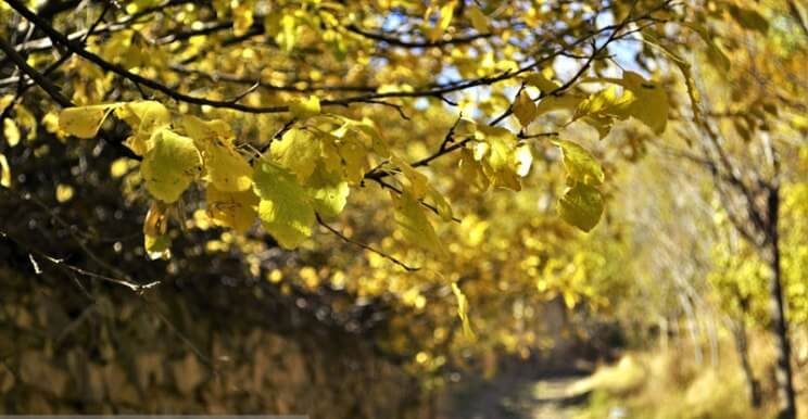 گزارش تصویری از طبیعت پاییزی شهمیرزاد