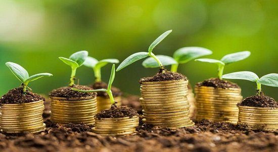 خیز کشاورزی استان سمنان برای جذب ۱۲۱ میلیون دلار سرمایه‌گذاری