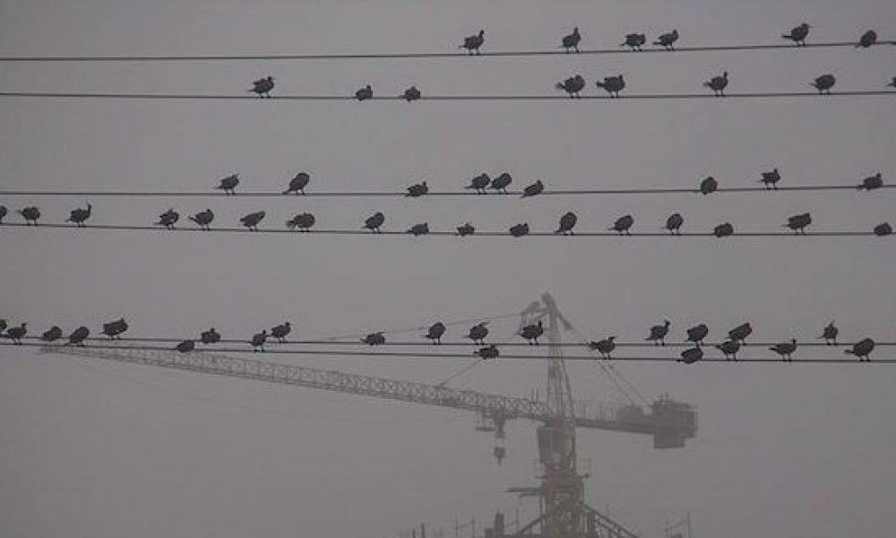 غبار غلیظ و ابر پایان هفته مهمان آسمان استان سمنان است