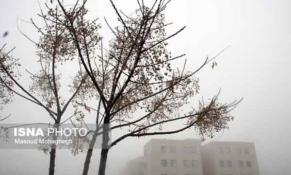مه غلیظ و کاهش دید افقی صبح امروز در سمنان/گزارش تصویری