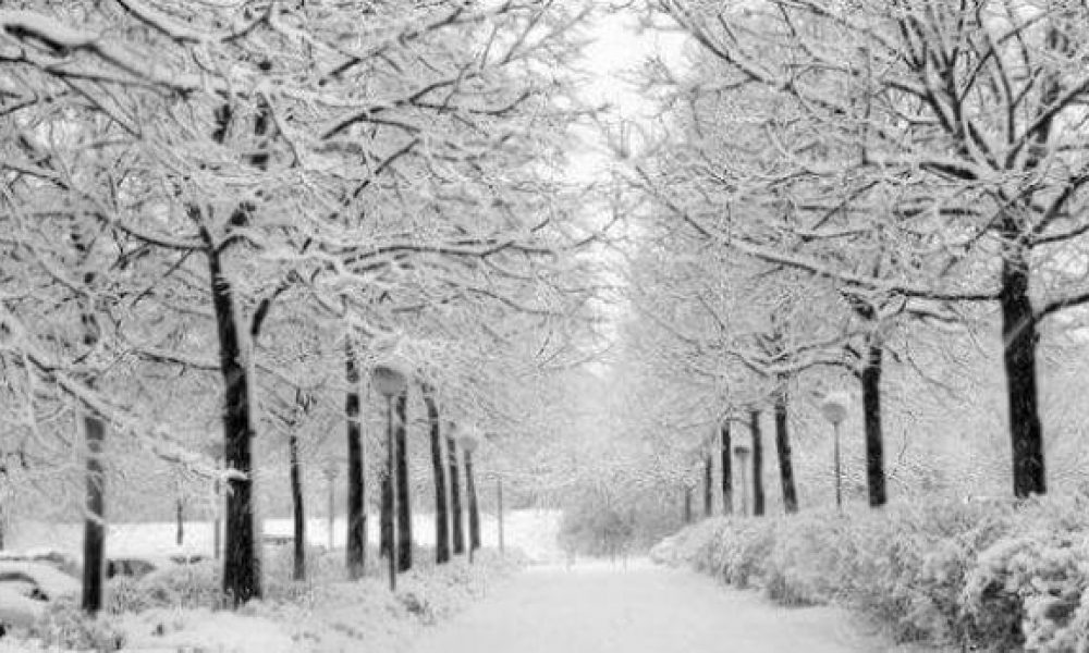 دمای هوا در اولین شب آذر ۹۵ در استان سمنان به زیر صفر درجه می رسد