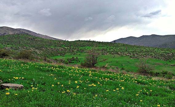 جنگل رودبارک مهدیشهر؛ بازمانده‌ی جنگل‌های هیرکانی/گزارش تصویری