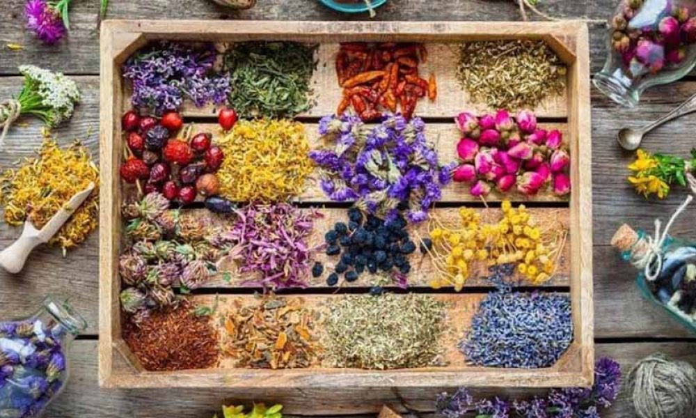 با گیاهان دارویی و خواص آنها بیشتر آشنا شوید