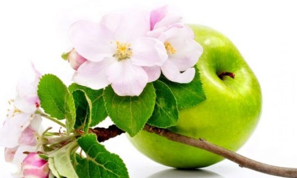 سرمایه گذاری چینی‌ها در حوزه سلامت استان سمنان