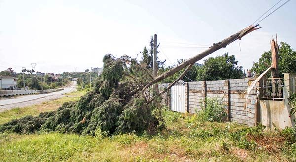 هواشناسی سمنان درباره خسارت‌های ناشی از بارندگی و وزش باد هشدار داد