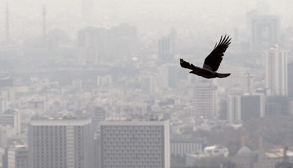 ریزگردها و کارخانه های گچ عوامل اصلی آلودگی هوای استان سمنان