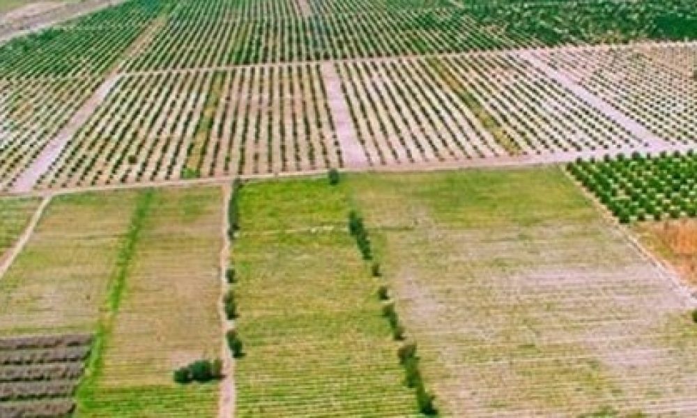 کاهش پرونده‌های تخلفات اراضی در سمنان