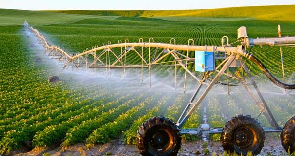 تولید ۳۰ درصد از محصولات کشاورزی سمنان با سامانه نوین آبیاری