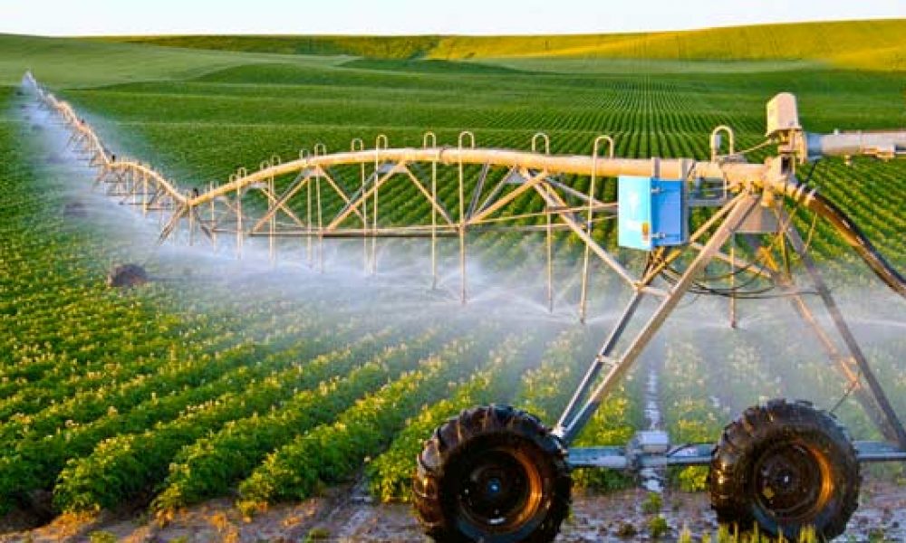 تولید ۳۰ درصد از محصولات کشاورزی سمنان با سامانه نوین آبیاری