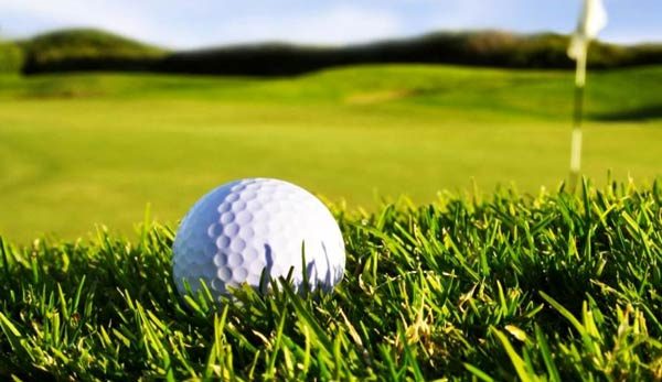 معرفی ورزشکار مهدیشهری به عنوان پدیده مسابقات بهکاپر