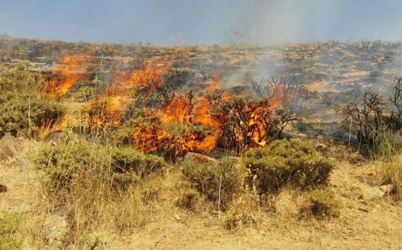 آتش سوزی یکی از مخاطرات تابستانی مراتع طبیعی سمنان است